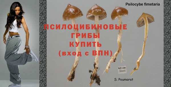 стафф Иннополис