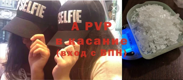 стафф Иннополис