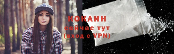 стафф Иннополис