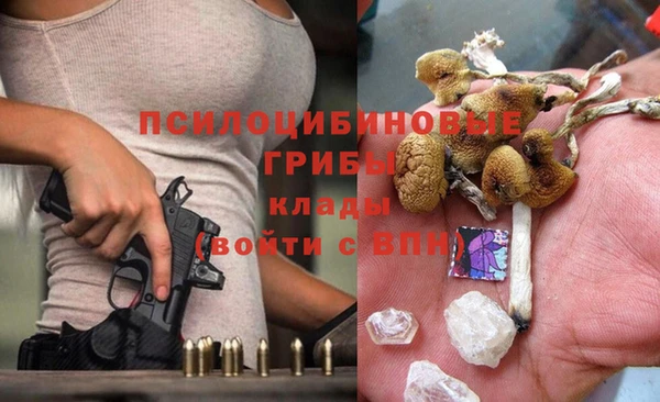 прущий лед Инта