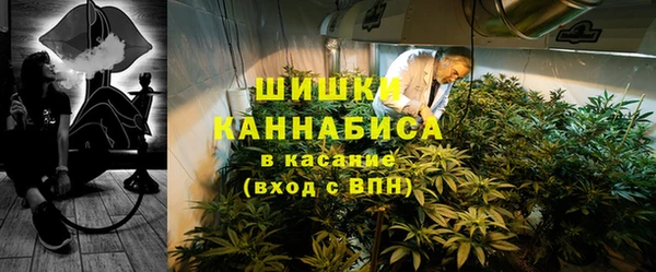 стафф Иннополис